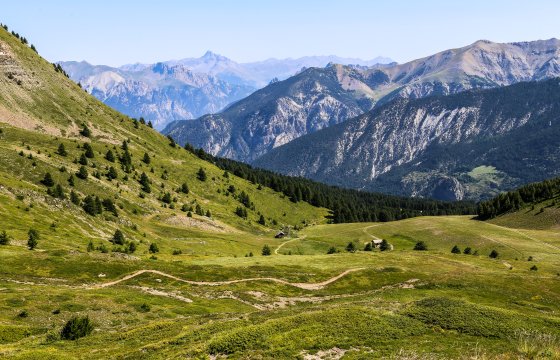 Pâturage à Vars