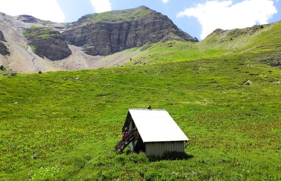 Cabane d'alpage à Vars