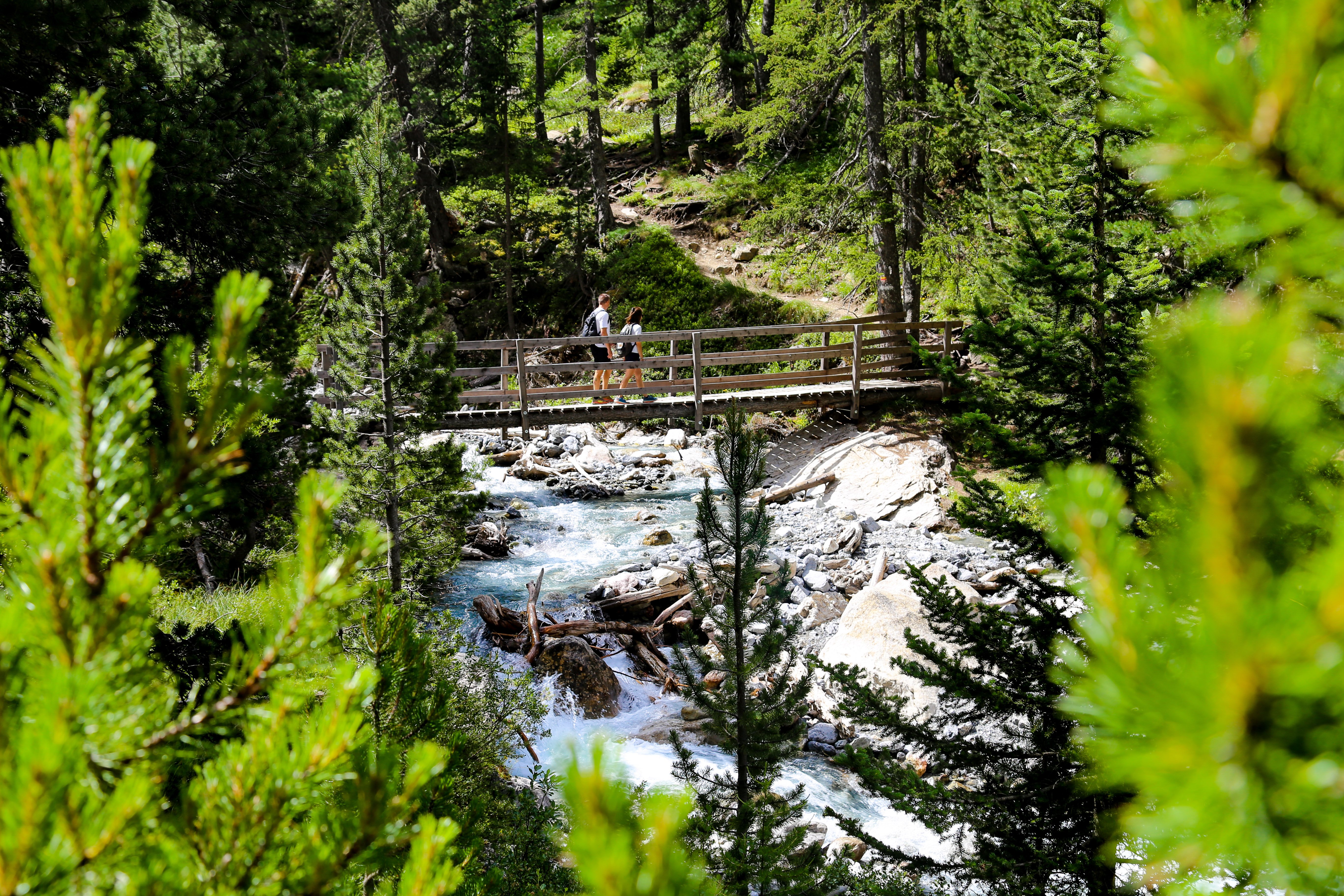 Pont enjambant le torrent du Rif Bel dans la forêt à Escreins